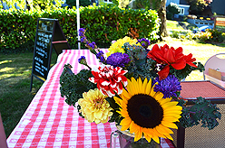 LAURELHURST SALMON BAKE 2014
